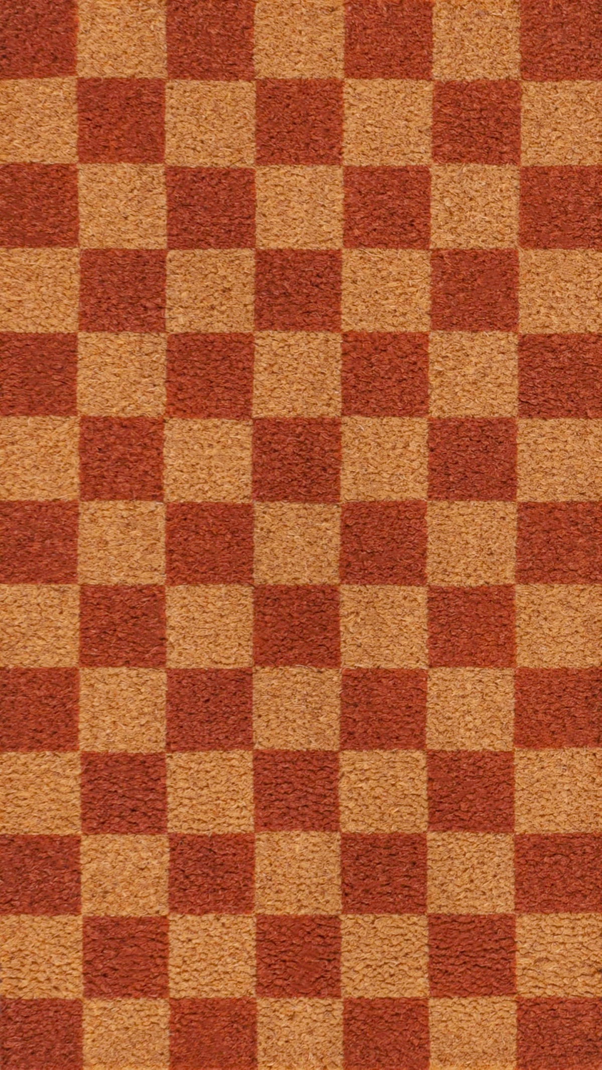 Natural Coir Indoor/Outdoor Mat 17" X 30" Natural/Black Stripe,